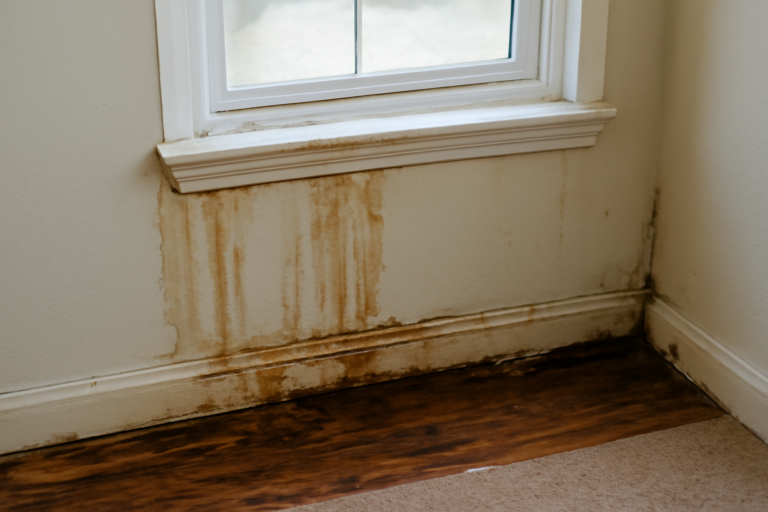 Window Leak Water Removal